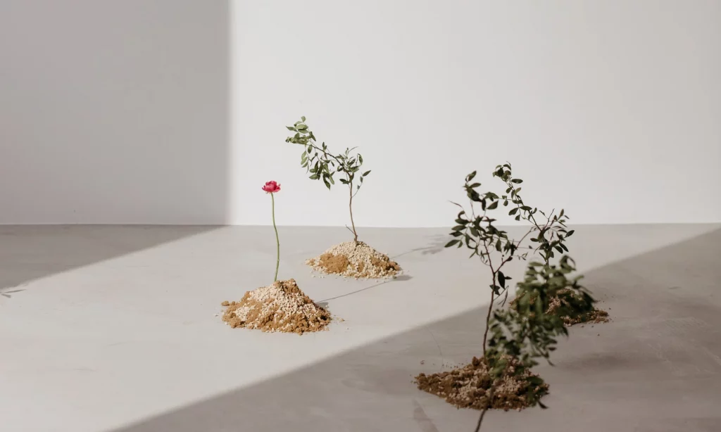 Customer Segmentation for sustainable growth